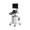100660001-esaote-ultraljud-mylab-fox-scandivet