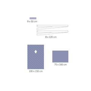 89350043-evercare-dentalset-scandivet